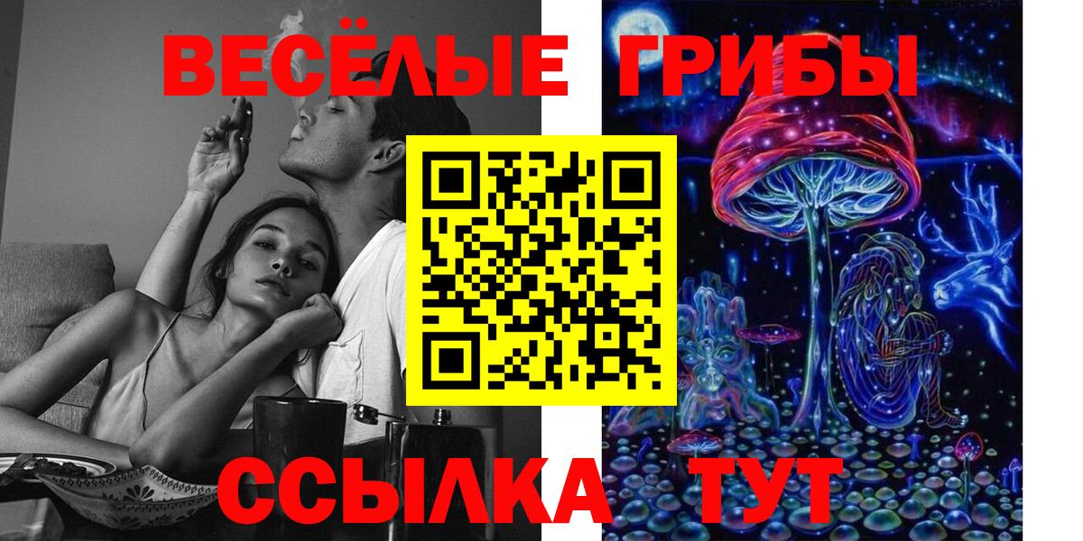 Псилоцибиновые грибы Cubensis  купить наркоту  Грязи  Псилоцибиновые грибы мицелий  Вход с VPN 