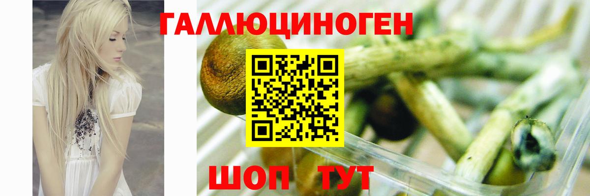 Псилоцибиновые грибы прущие грибы Грязи