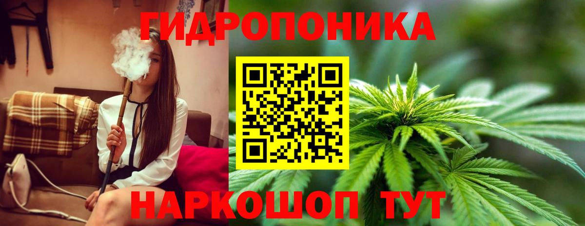 Конопля Bruce Banner  Вход с VPN  Каннабис Amnesia  Грязи  Канабис индика  Каннабис сатива 
